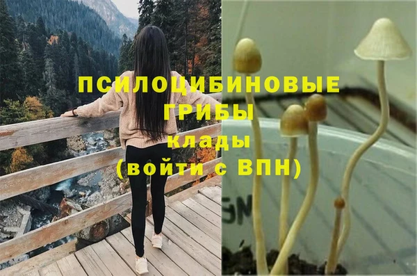 МДПВ Пролетарск