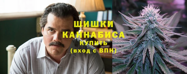 гидра Дегтярск