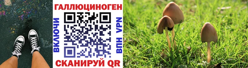Галлюциногенные грибы Psilocybine cubensis  mega как зайти  Асино 