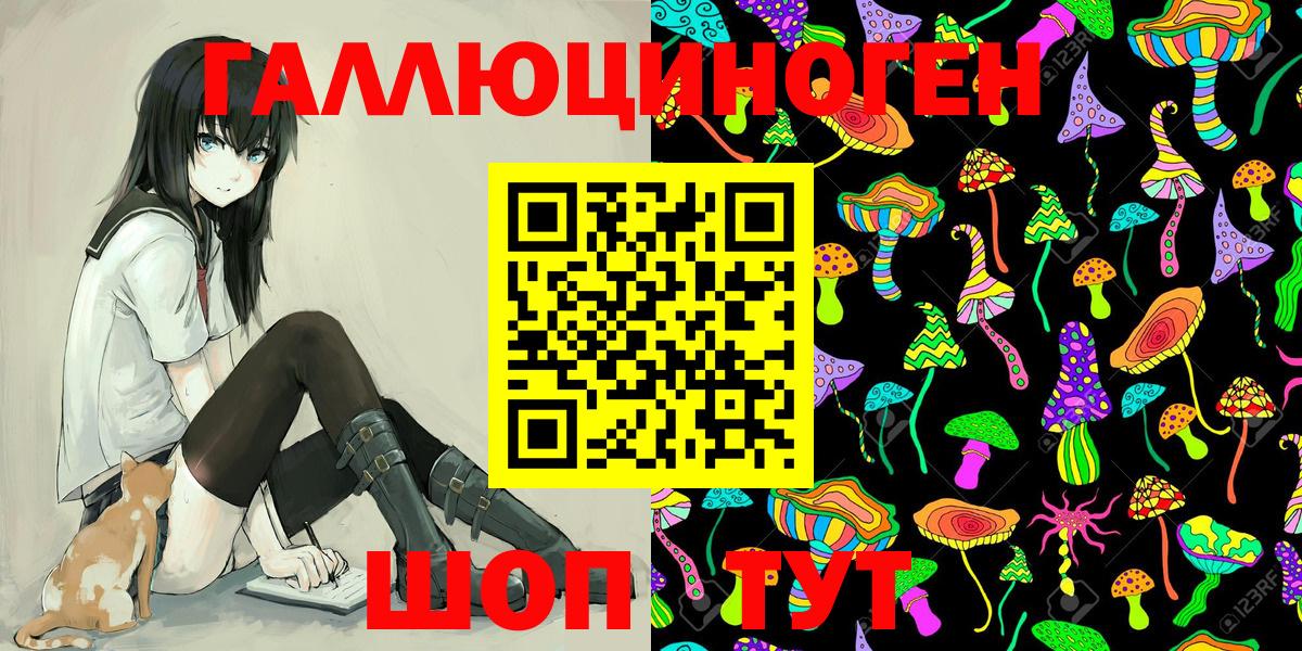 Галлюциногенные грибы Psilocybine cubensis  Вход с VPN  Псилоцибиновые грибы Psilocybe  Асино 