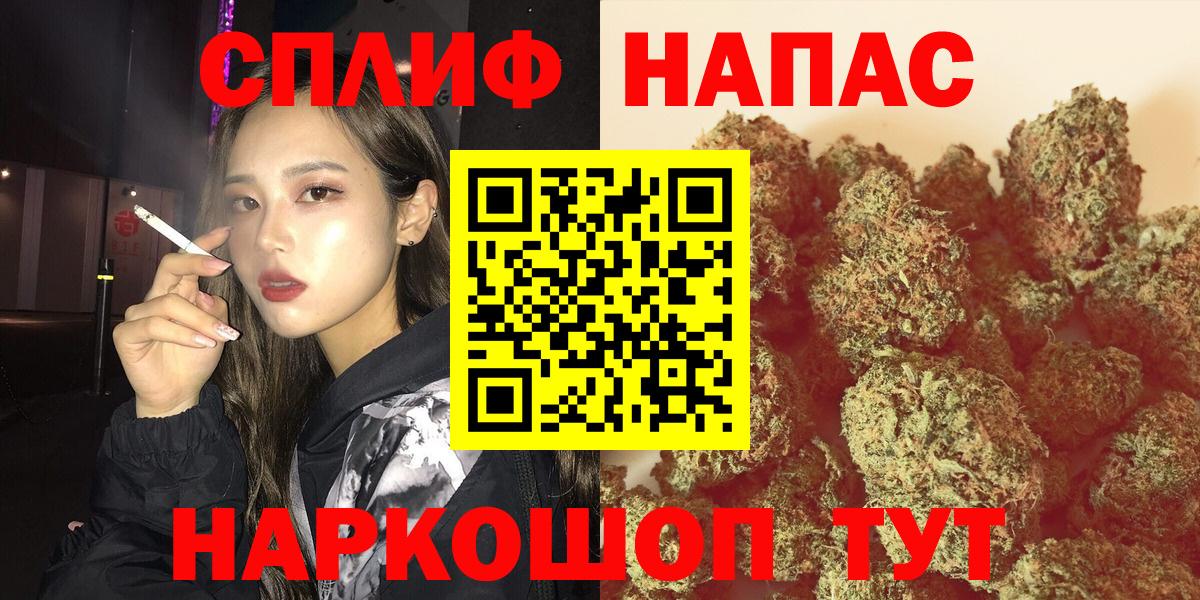 Конопля AK-47 Асино